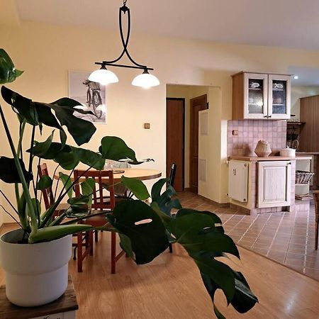 Home In The Heart Of The City Μπρατισλάβα Εξωτερικό φωτογραφία