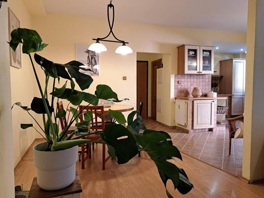 Home In The Heart Of The City Μπρατισλάβα Εξωτερικό φωτογραφία
