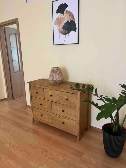 Home In The Heart Of The City Μπρατισλάβα Εξωτερικό φωτογραφία